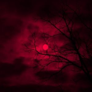 Meet your Posher, Cooper